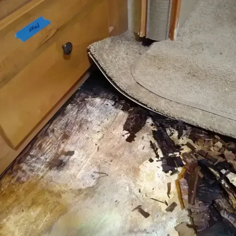 Wood Floor Water Damage in Forest City, IA